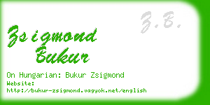 zsigmond bukur business card